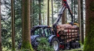 machine forestière avec du bois